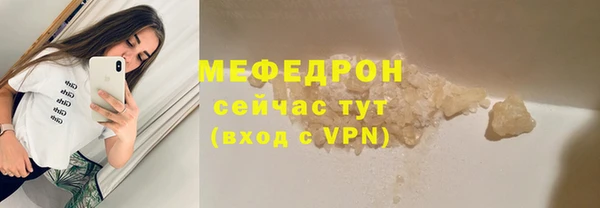 индика Богданович